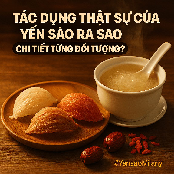 Công Dụng Tuyệt Vời Của Yến Sào
