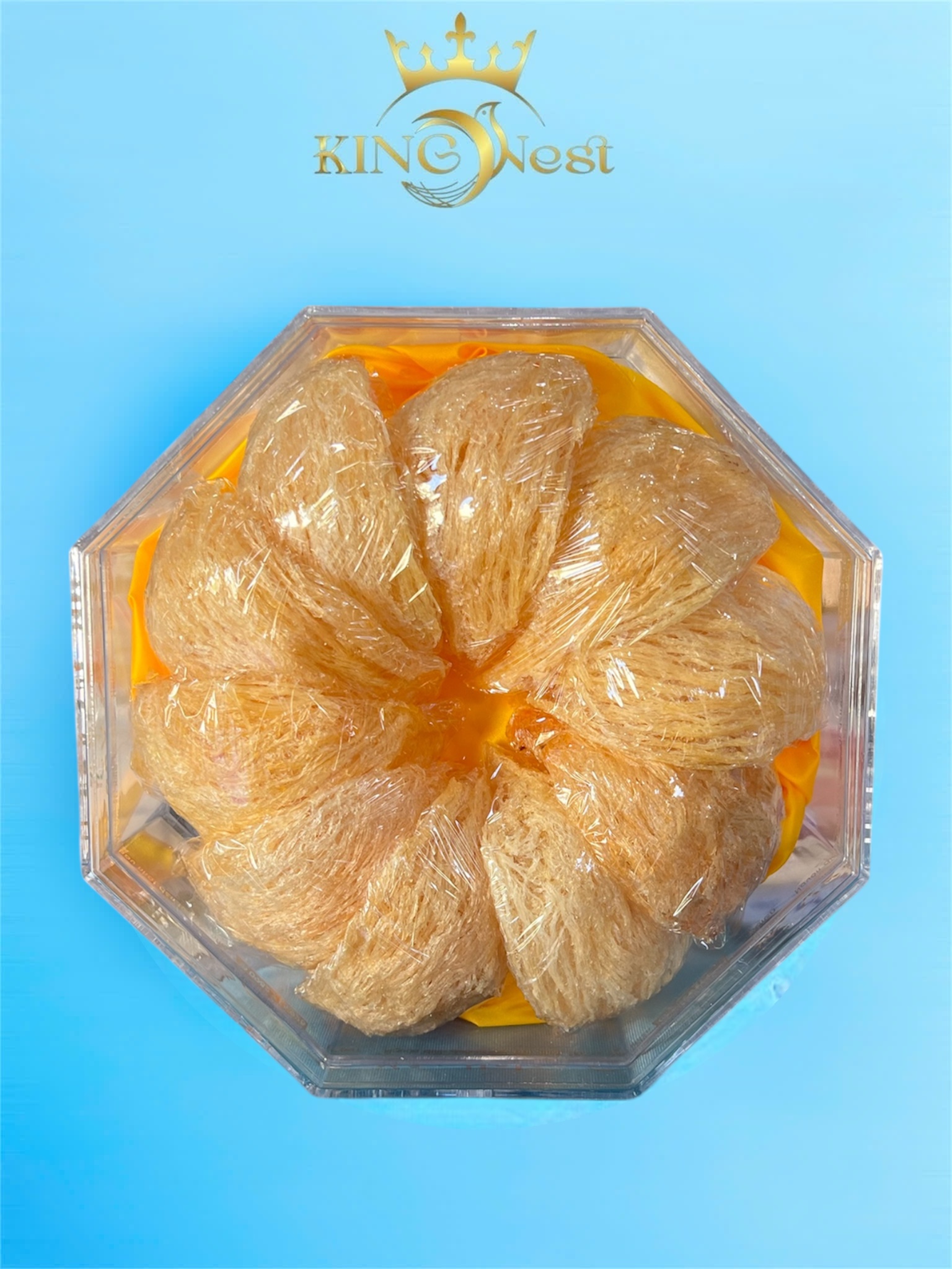 Photoroom_20251211_154237